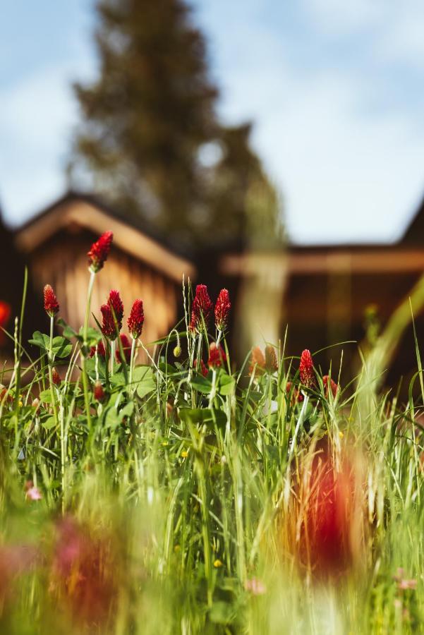 Hideaway Hotel Montestyria Chalets & Suiten ماريازيل المظهر الخارجي الصورة